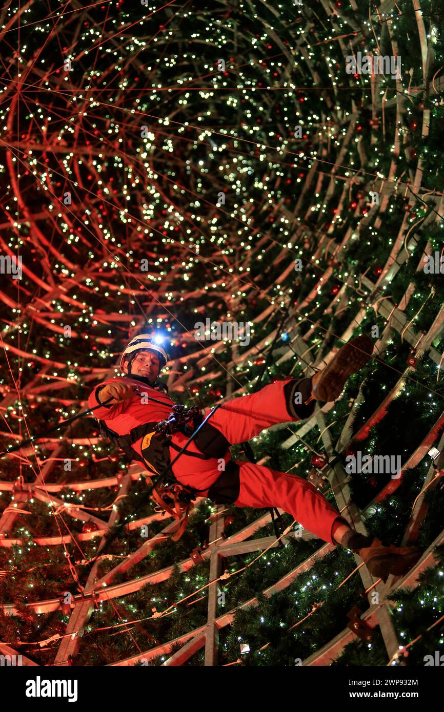 10 11 13 John Vasey Abseils Up The Inside Of The Giant Tree To Check