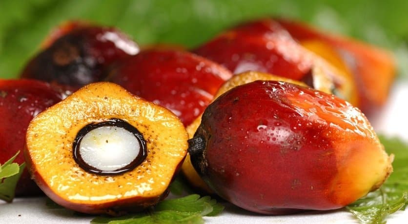 10 Exciting Benefits Of Red Palm Oil