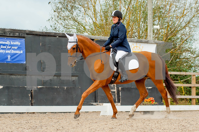 30 Equine Event Photography Ideas Event Photography Equines Photography