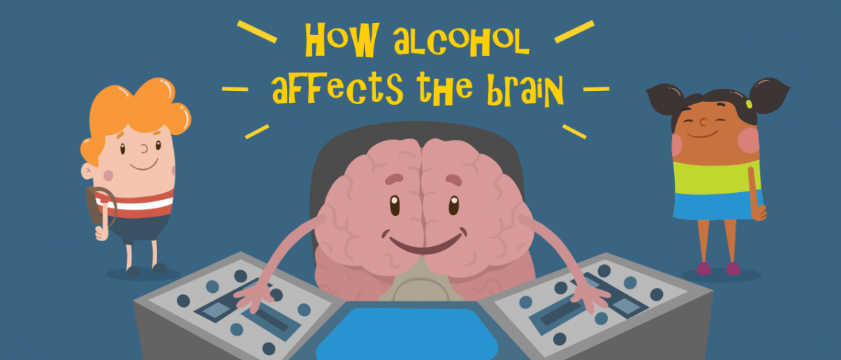 Alcohol And Your Brain Ask Listen Learn