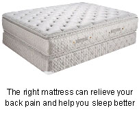 Best Latex Mattress For Lower Back Pain At Shirley Perez Blog