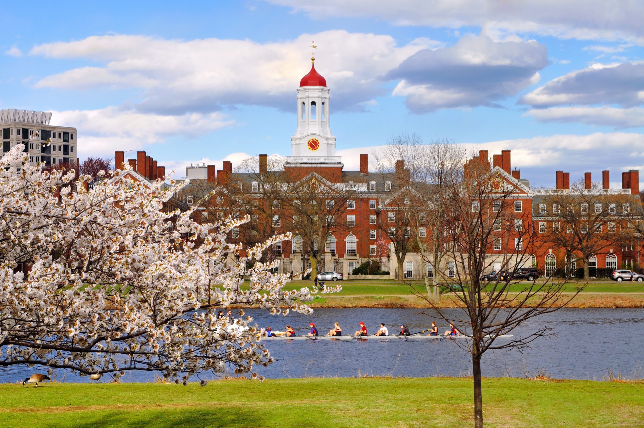 Best Things To Do In Cambridge Massachusetts In One Day