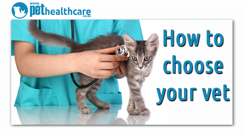 Choosing The Best Vet For Your Pets Pet Health Carehow To Choose A Vet