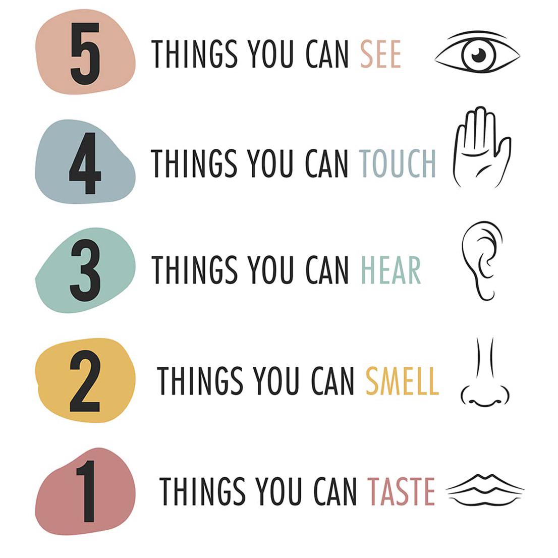 Does The 5 Things You Can See 4 Things You Can Feel Grounding