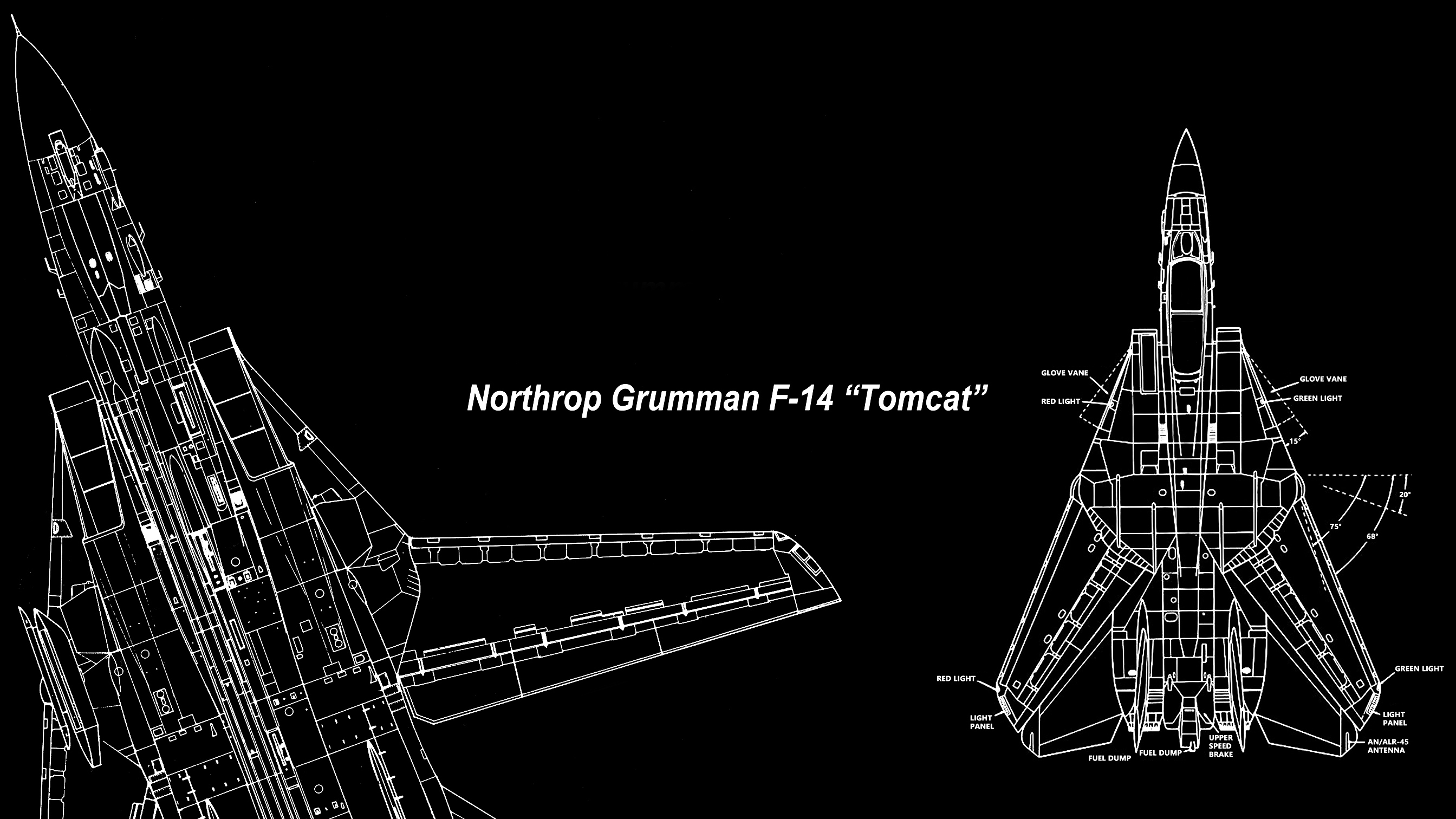 F 14 Tomcat Schematic