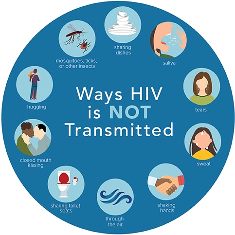 How Is Hiv Transmitted Prevention And Risk Factors