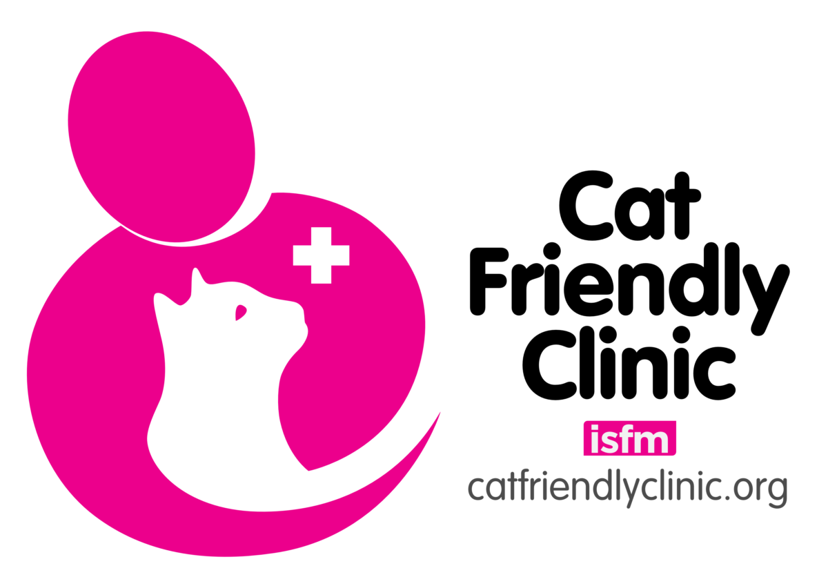 How To Choose A Veterinary Clinic International Cat Care