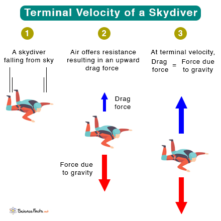 Human Terminal Velocity: How Fast Can We Fall?