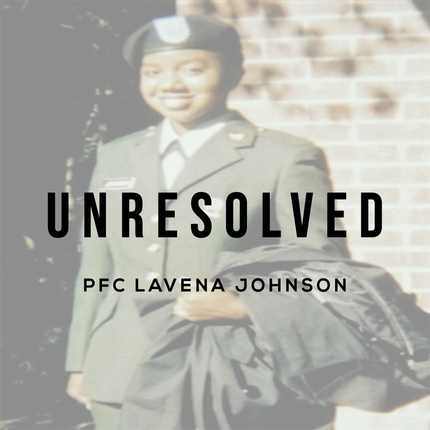 Pfc Lavena Johnson Beautiful Also Are The Souls Of My Black Sisters