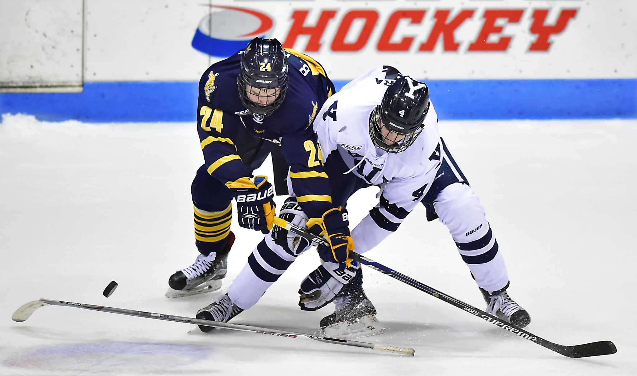 Photos Yale Vs Quinnipiac Ice Hockey