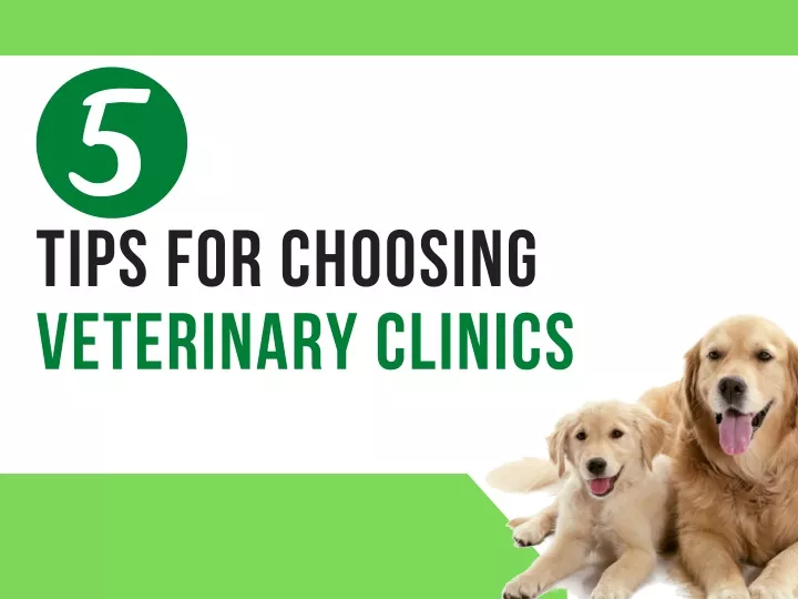 Ppt Tips For Choosing Veterinary Clinics Powerpoint Presentation