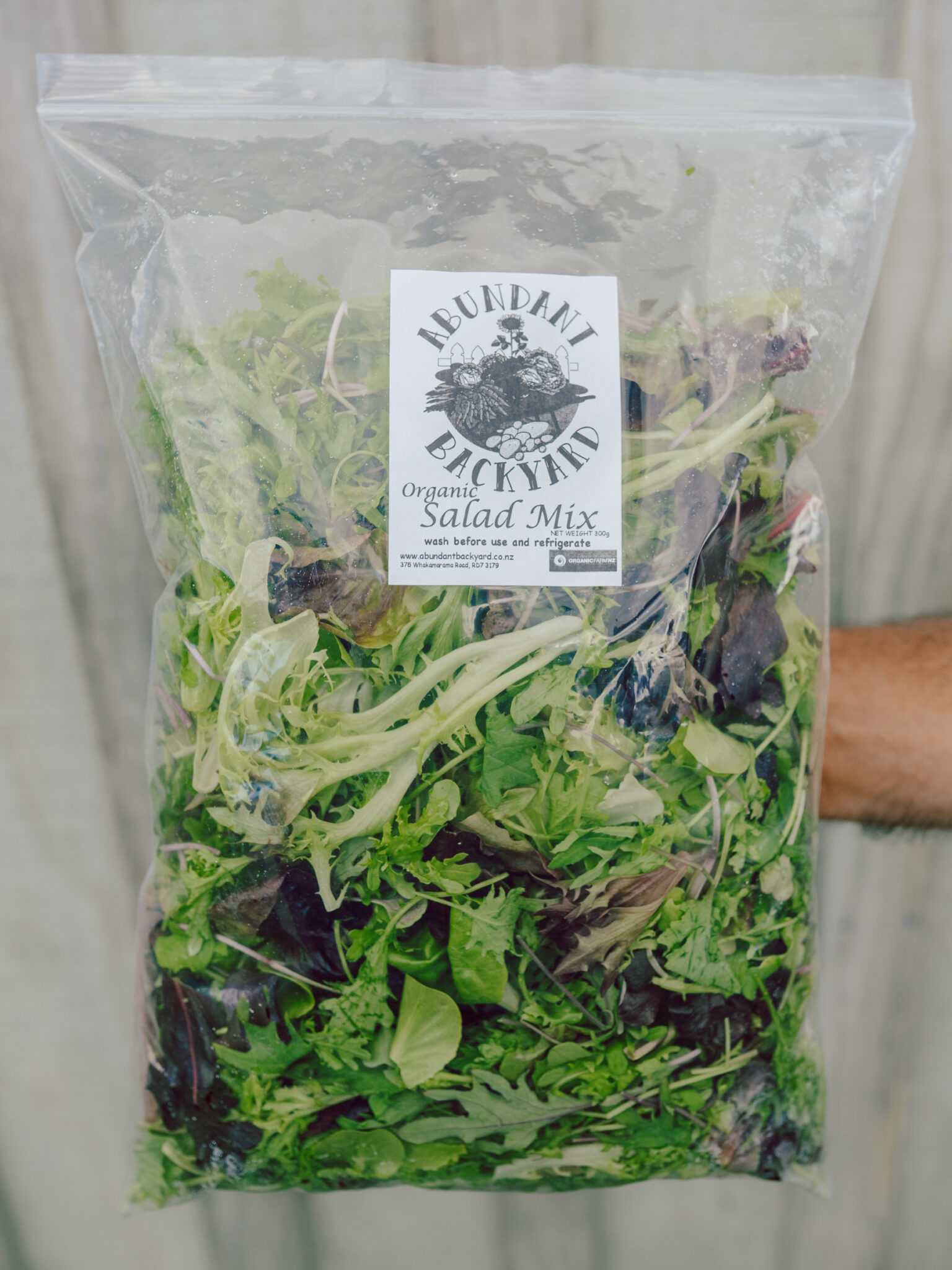 Salad Mix In Bag At Abel Silverstein Blog