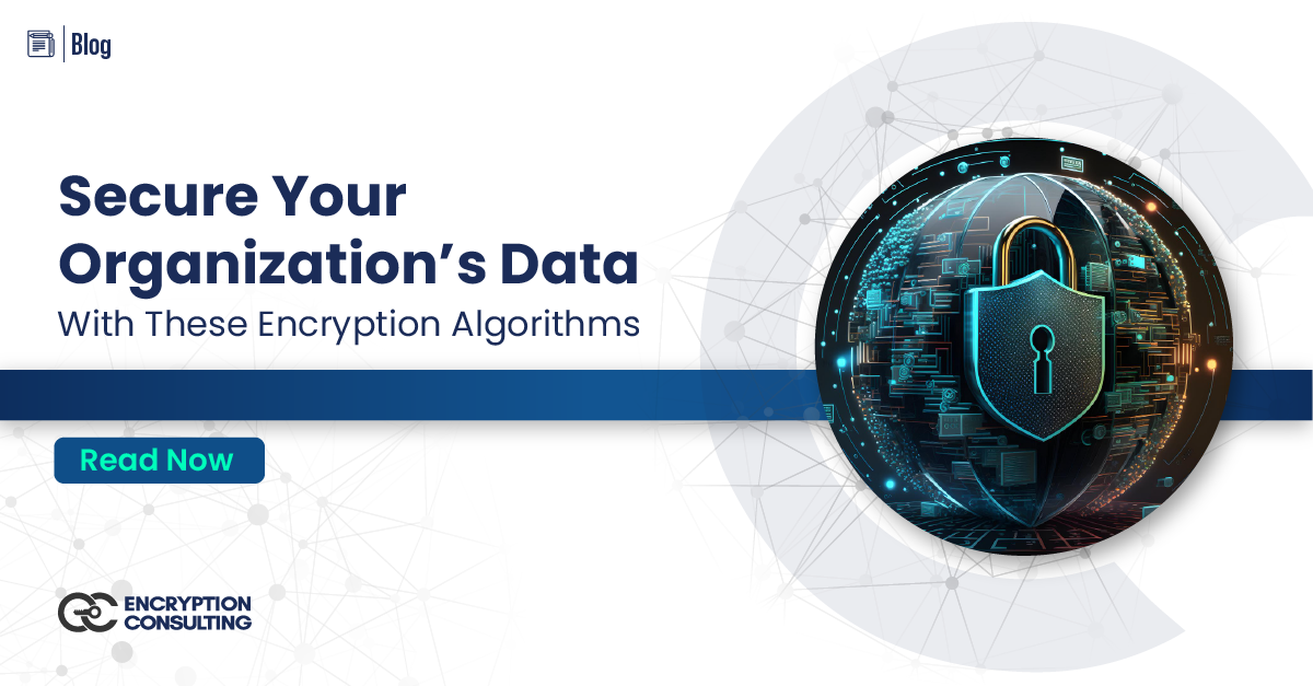 Secure Organization S Data With These Encryption Algorithms