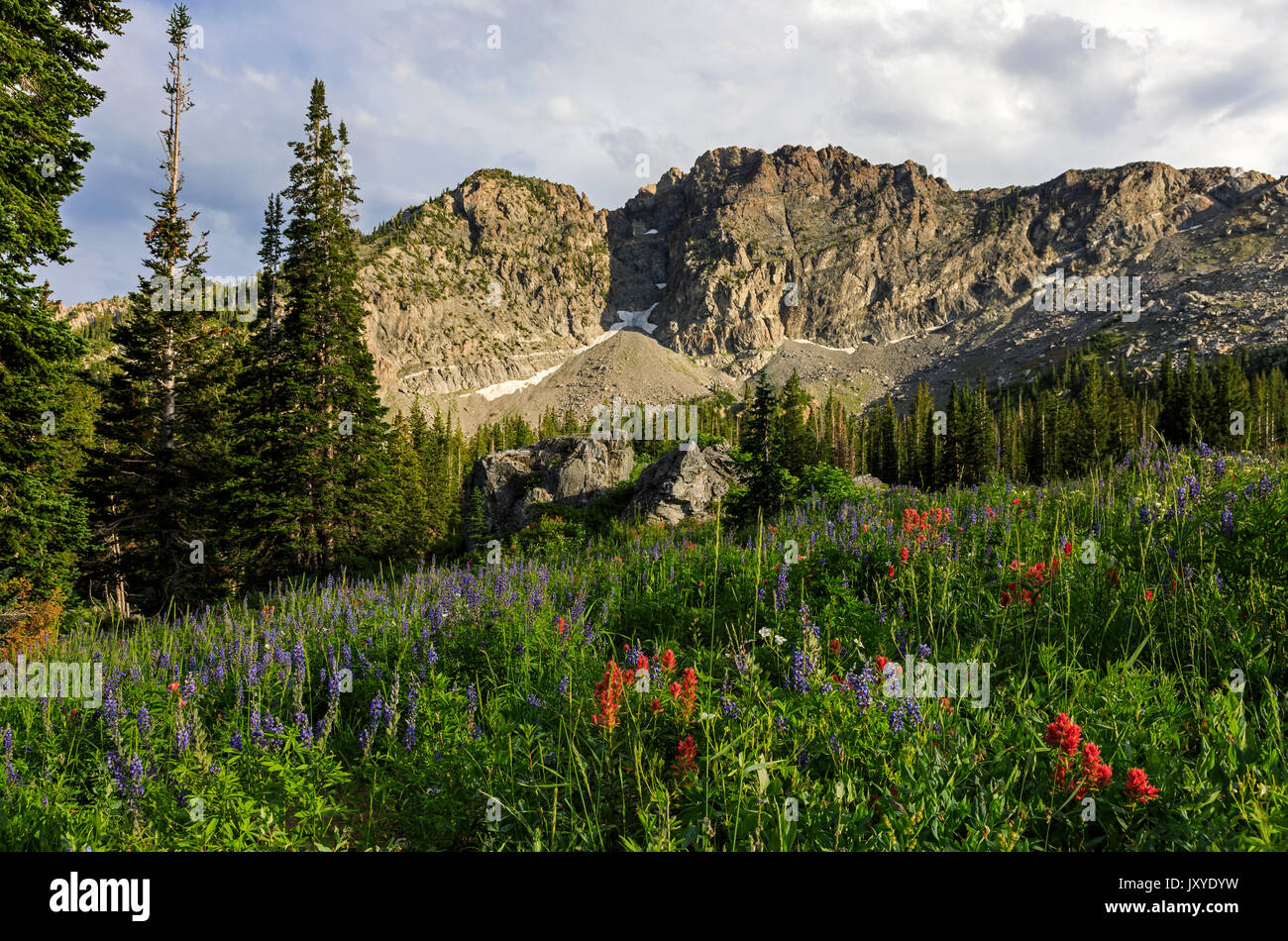 The Late Afternoon Sun Lights Up The Landmark Devil Amp 39 S Castle And The Red Paintbrush And Lupine