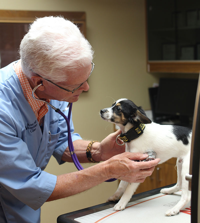 Today S Veterinarian Archives Rose Hill Veterinary Clinic