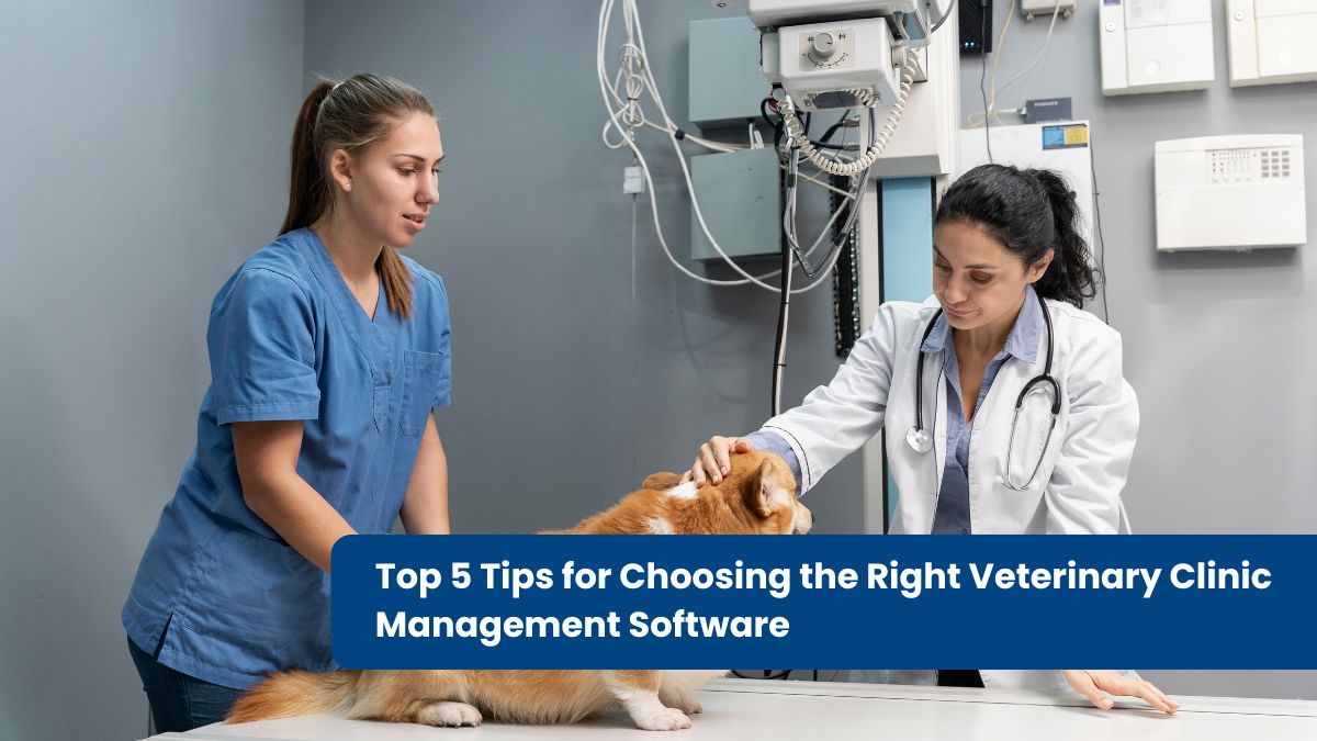 Top 5 Tips For Choosing Veterinary Clinic Management Software Expert