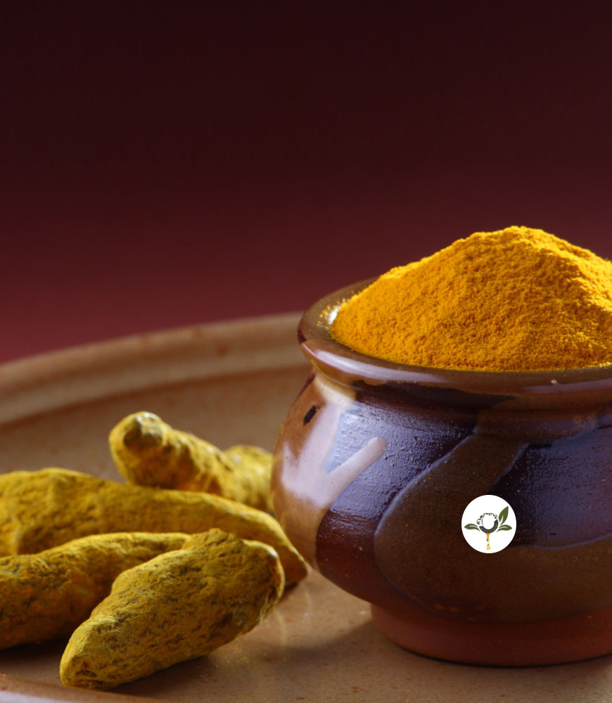 Health Benefits of Turmeric Powder in Daily Life