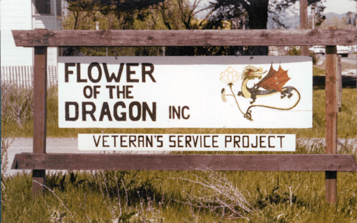 Veterans Day Flower Drawing Ideas to Honor Heroes